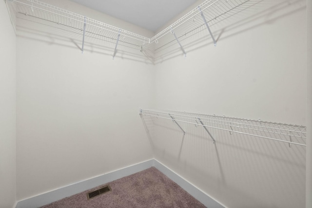 walk in closet featuring visible vents and carpet