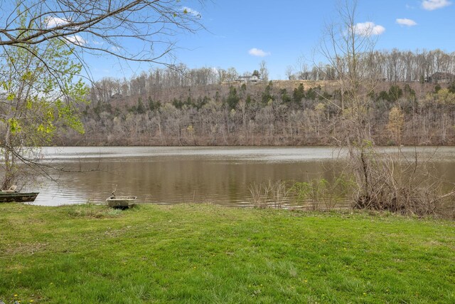 520 Chapmansboro Rd, Ashland City, TN 37015 - photo 4
