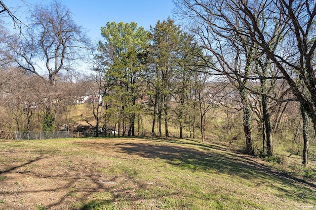 view of yard with fence