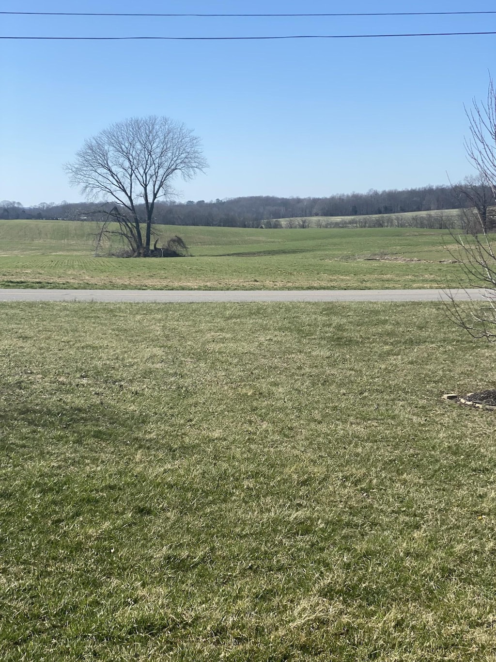 view of yard with a rural view