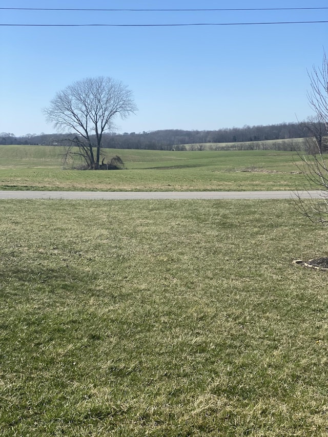 view of yard with a rural view