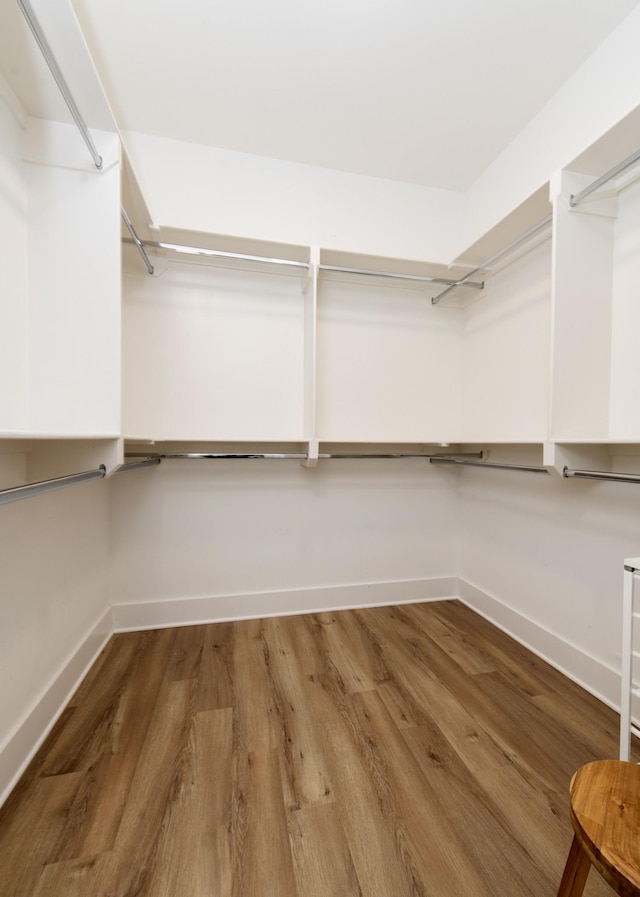 walk in closet featuring wood finished floors