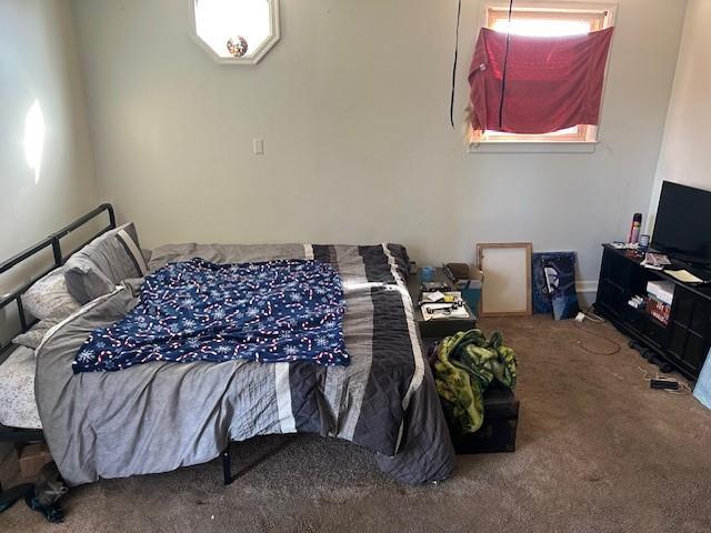 13 Charlemagne Blvd, Clarksville, TN 37042 - photo 6