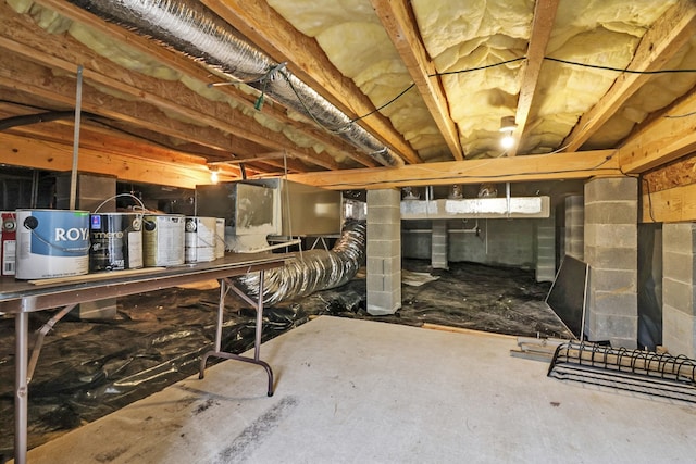 basement featuring crawl space