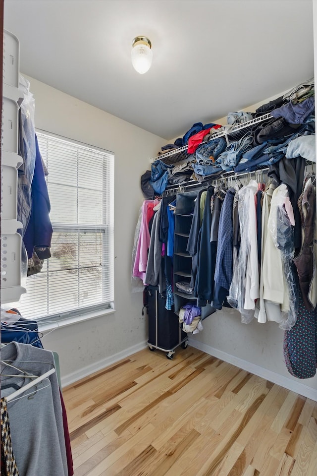 spacious closet featuring wood finished floors