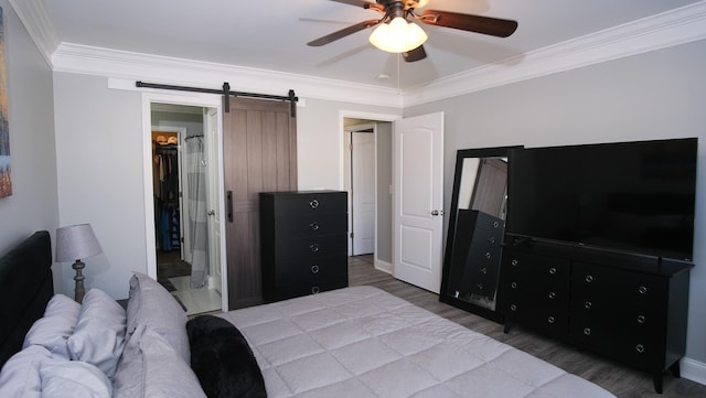 bedroom featuring a walk in closet, ornamental molding, a ceiling fan, a barn door, and light wood finished floors