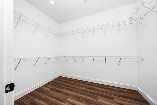 spacious closet featuring dark wood finished floors