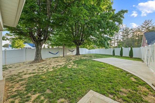 view of yard featuring a patio and a fenced backyard