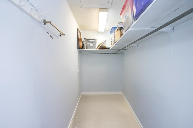 walk in closet with carpet