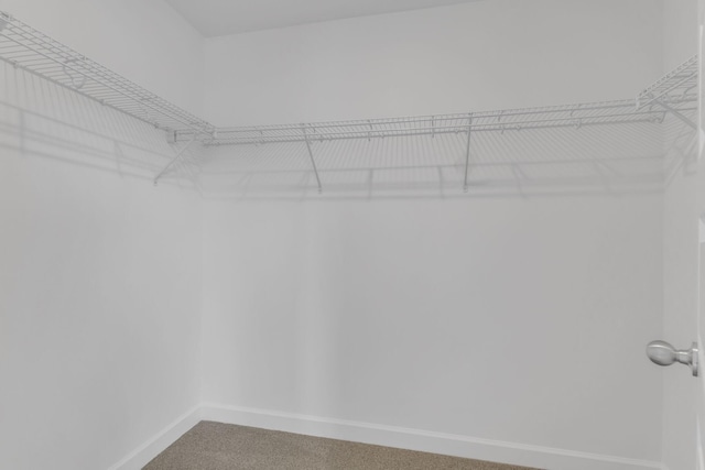 walk in closet with carpet