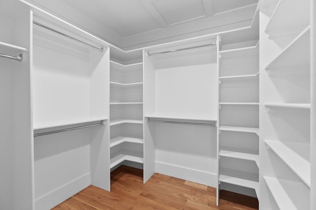 spacious closet with wood finished floors