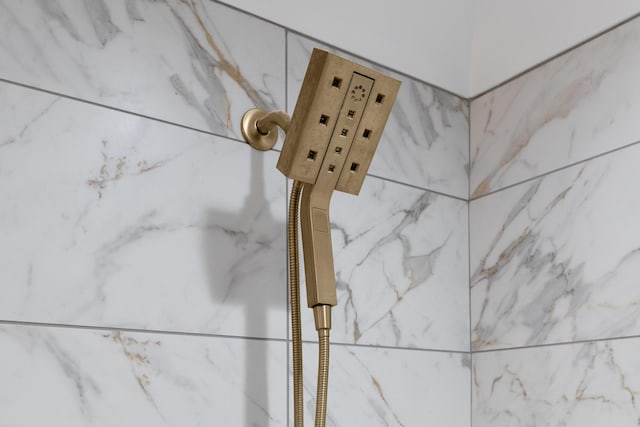 interior details with walk in shower