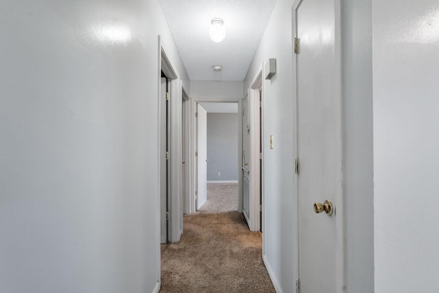 hall featuring a textured ceiling, baseboards, and carpet