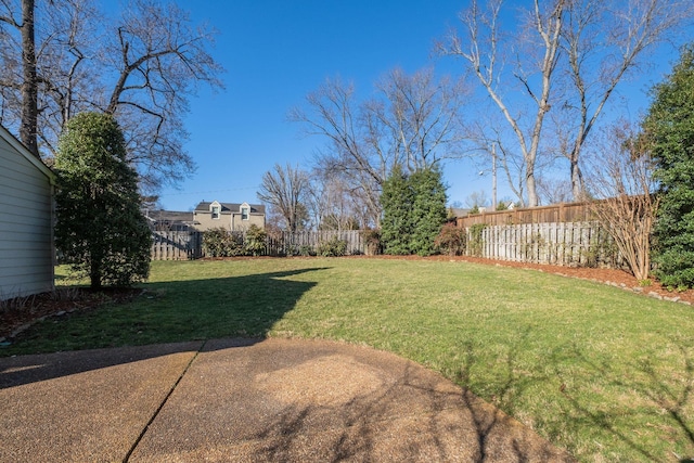 view of yard with a patio and a fenced backyard