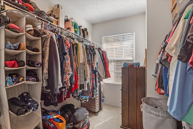 spacious closet with carpet