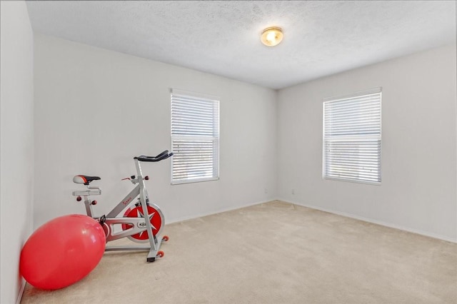 exercise room with baseboards, carpet floors, and a textured ceiling