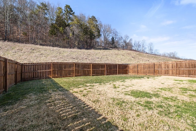 view of yard with a fenced backyard