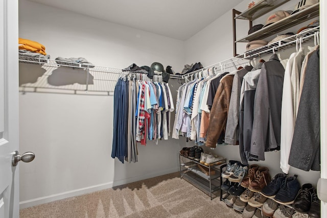 walk in closet featuring carpet