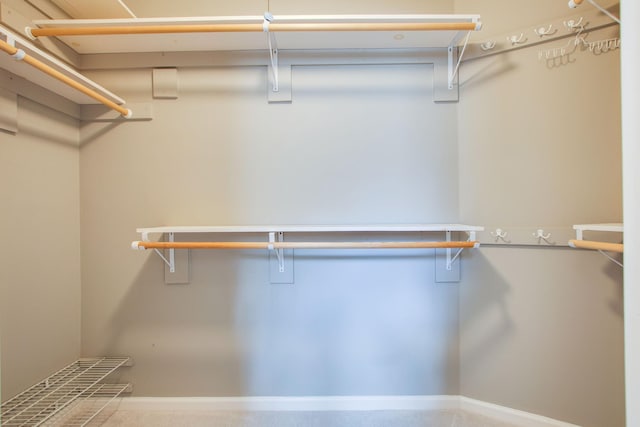view of spacious closet