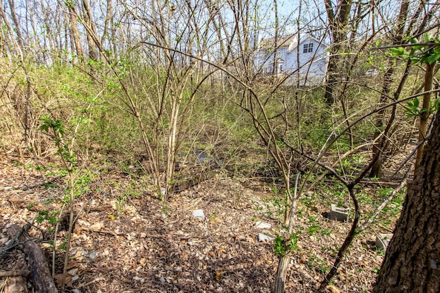 view of nature