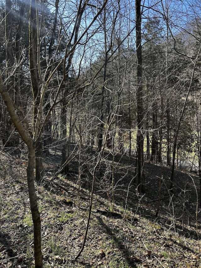 Listing photo 2 for 0 Sycamore Valley Rd, Pleasant Shade TN 37145