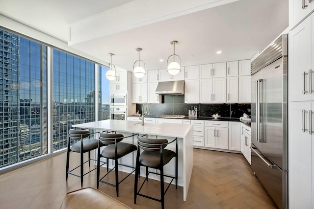 kitchen featuring under cabinet range hood, decorative backsplash, appliances with stainless steel finishes, white cabinets, and a sink