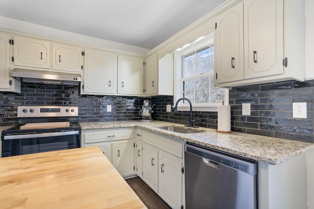 kitchen featuring a sink, decorative backsplash, under cabinet range hood, and stainless steel appliances