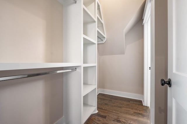 walk in closet featuring dark wood-style floors