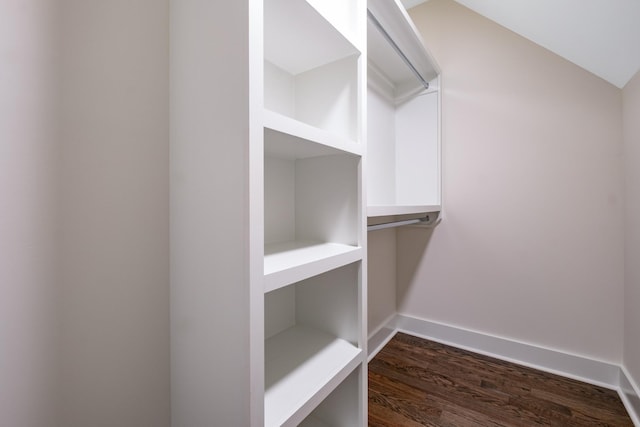 walk in closet with dark wood-style flooring