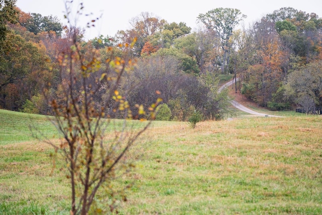 3522 Bailey, Franklin, TN 37064
