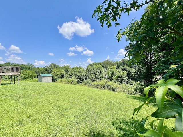 157 Poling Dr, Pulaski, TN 38478 - photo 3