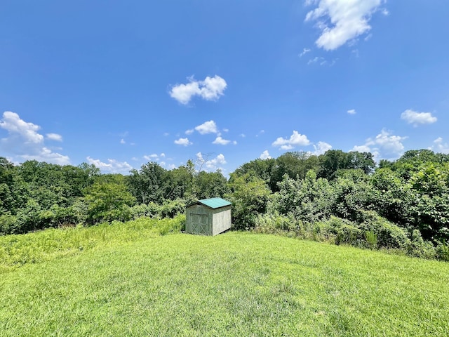 157 Poling Dr, Pulaski, TN 38478 - photo 19