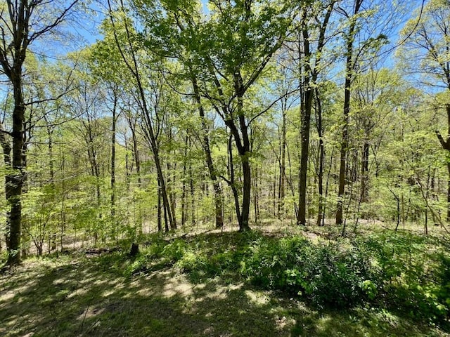 view of nature featuring a wooded view