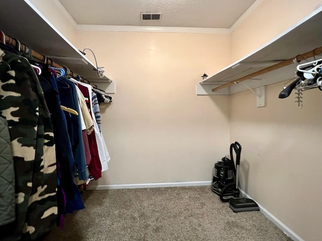 spacious closet featuring visible vents and carpet