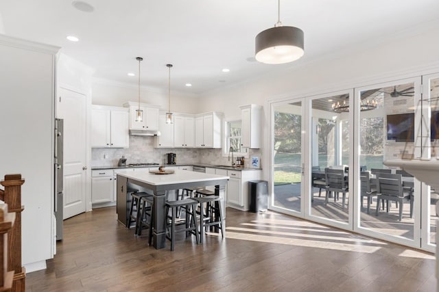 kitchen with a sink, dark wood-type flooring, tasteful backsplash, and under cabinet range hood