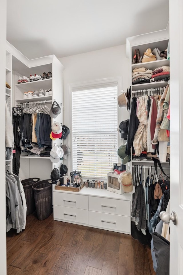 walk in closet featuring wood finished floors