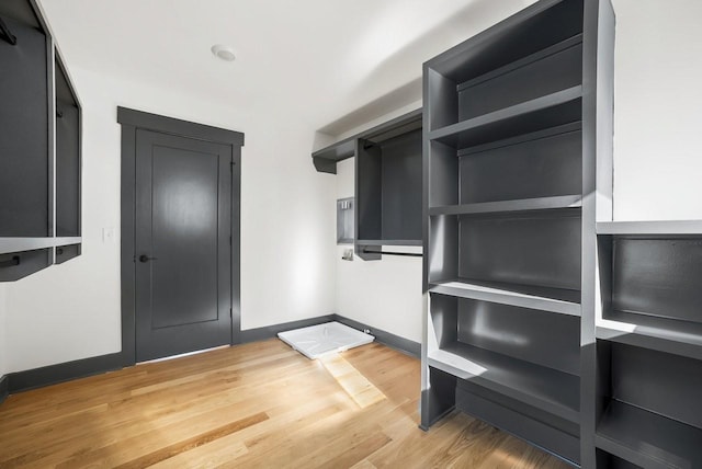 spacious closet with light wood-style flooring