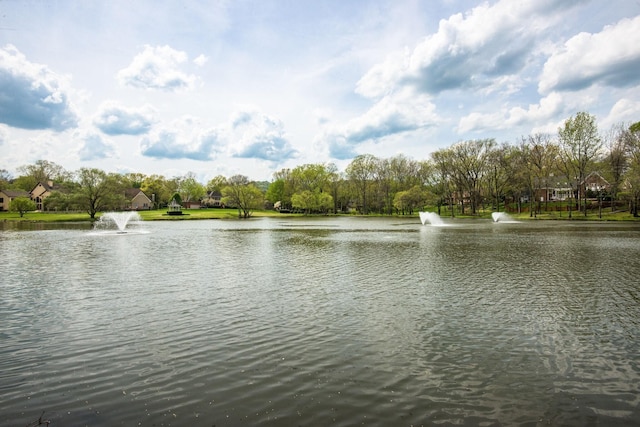 view of water feature