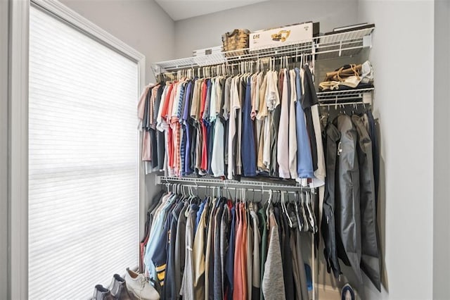 view of spacious closet