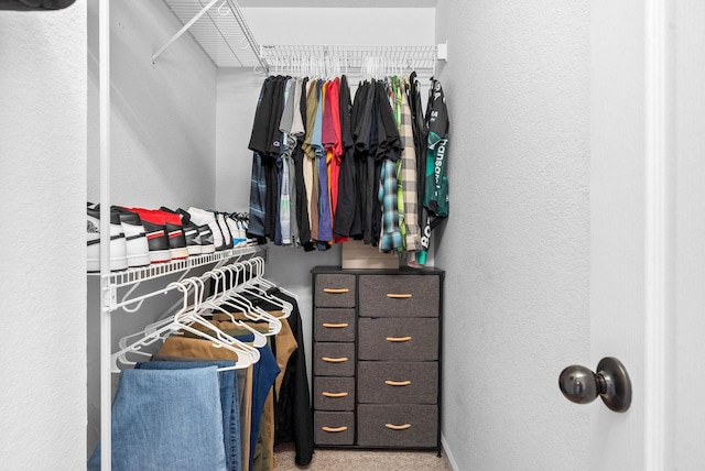 view of spacious closet