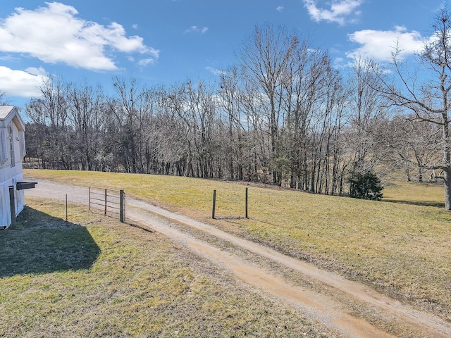 1888 New Lewisburg Hwy, Columbia, TN 38401 - photo 4