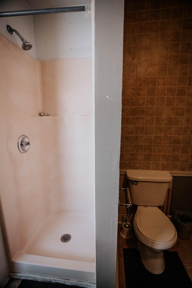 full bathroom with toilet and a stall shower