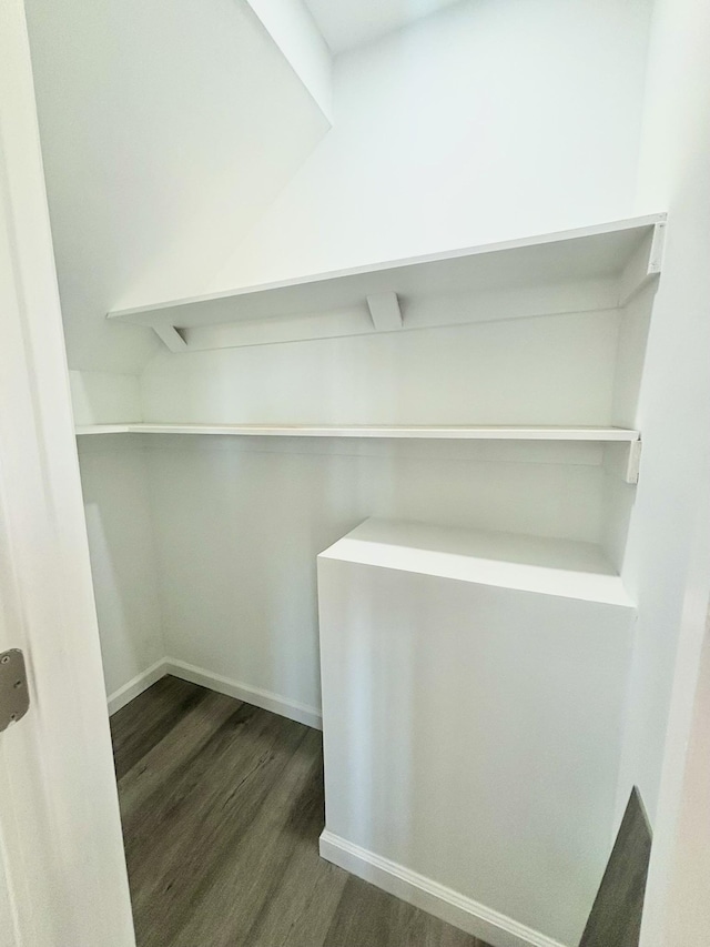 walk in closet featuring dark wood-style flooring