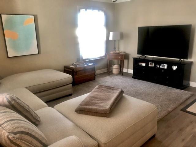 living area with baseboards and wood finished floors