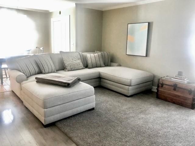 living area with wood finished floors and crown molding