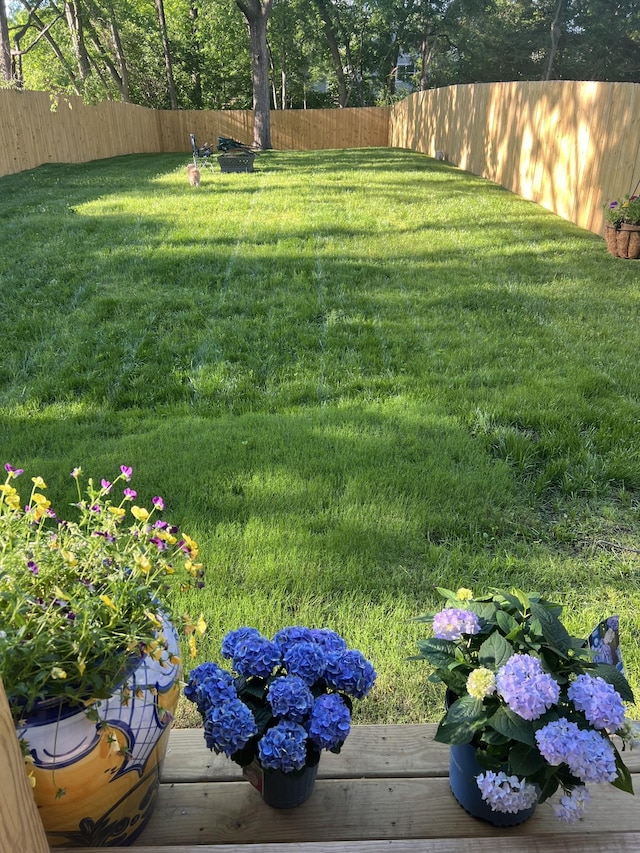 view of yard with a fenced backyard