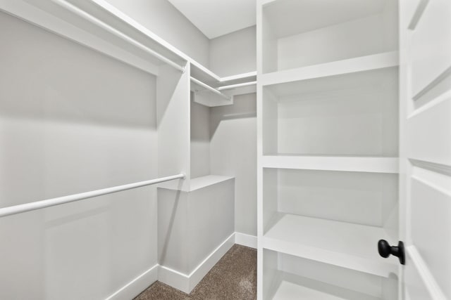 spacious closet featuring dark colored carpet