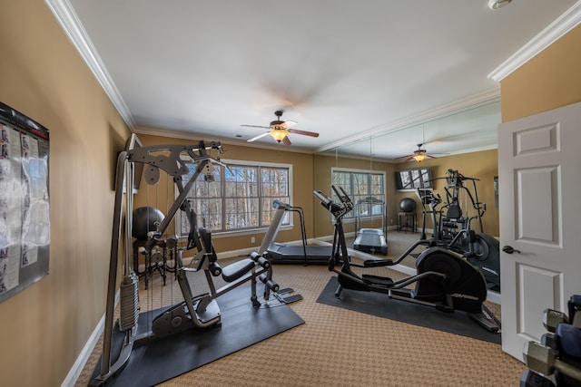 workout room featuring baseboards, carpet floors, and crown molding