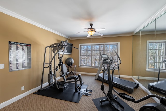 exercise room with carpet and ornamental molding