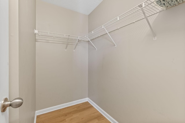 walk in closet with light wood-type flooring